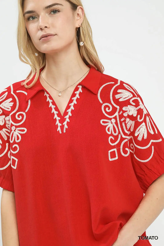 Embroidered sleeve top
